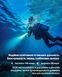 Ліхтар підводний Nitecore DL30 (1100 люмен, 9 режимів, 1х21700, USB-C) DL30 фото 8